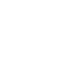 engineer (2)